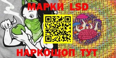 дурь Берёзовский