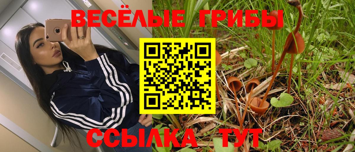 Кашира  Галлюциногенные грибы Psilocybine cubensis  Псилоцибиновые грибы Psilocybe  Вход с VPN 